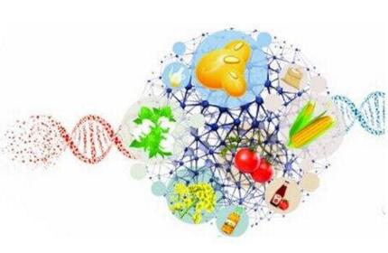 這五種思維 營銷人應(yīng)該有