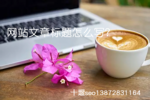 十堰SEO教你怎么寫網(wǎng)站章標(biāo)題