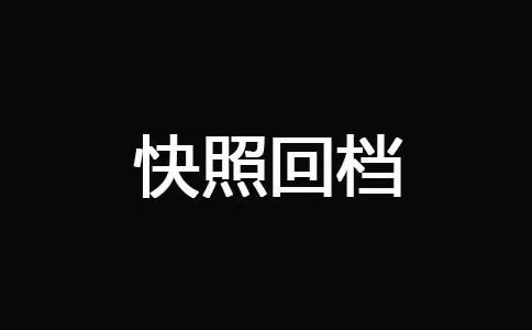 十堰網(wǎng)站優(yōu)化-快照回檔