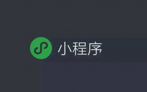 小程序搜索優(yōu)化指南(SEO)來(lái)了！